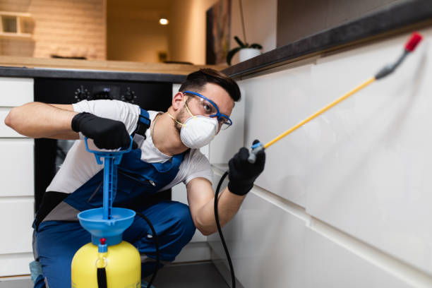 Best Best Pest Control Companies  in Syracuse, UT
