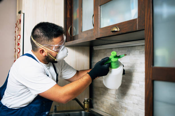 Best Residential Pest Control  in Syracuse, UT