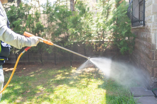 Best Termite Control Services  in Syracuse, UT