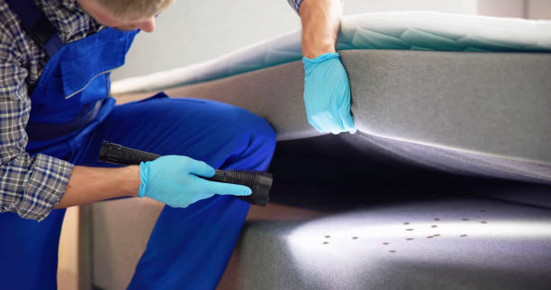 Best Bed Bug Extermination  in Syracuse, UT