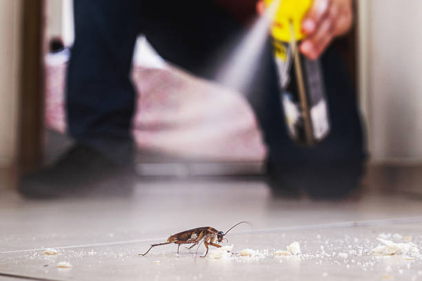 Best Local Pest Control Services  in Syracuse, UT