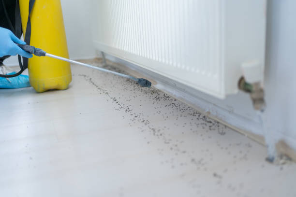 Best Pest Control Near Me in Syracuse, UT