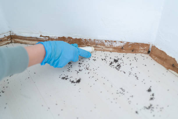 Best Wildlife Control Services  in Syracuse, UT