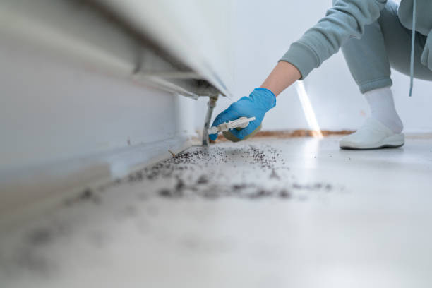 Best Exterminator Services  in Syracuse, UT